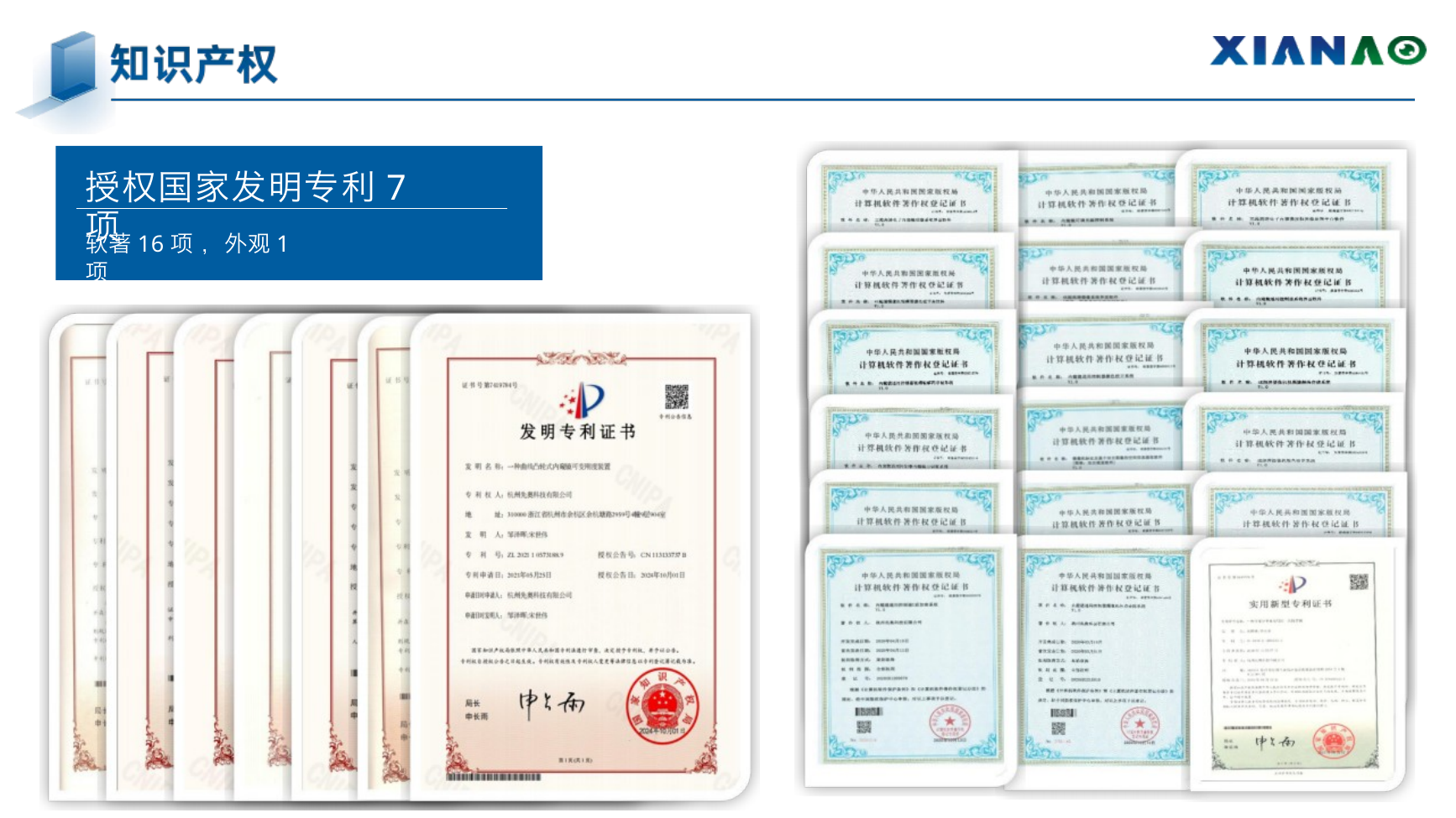 知识产权材料